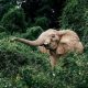 Discover the Africa  we know and we love! 