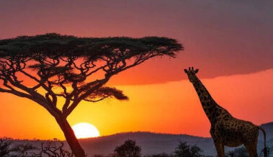 Discover the Africa  we know and we love! 