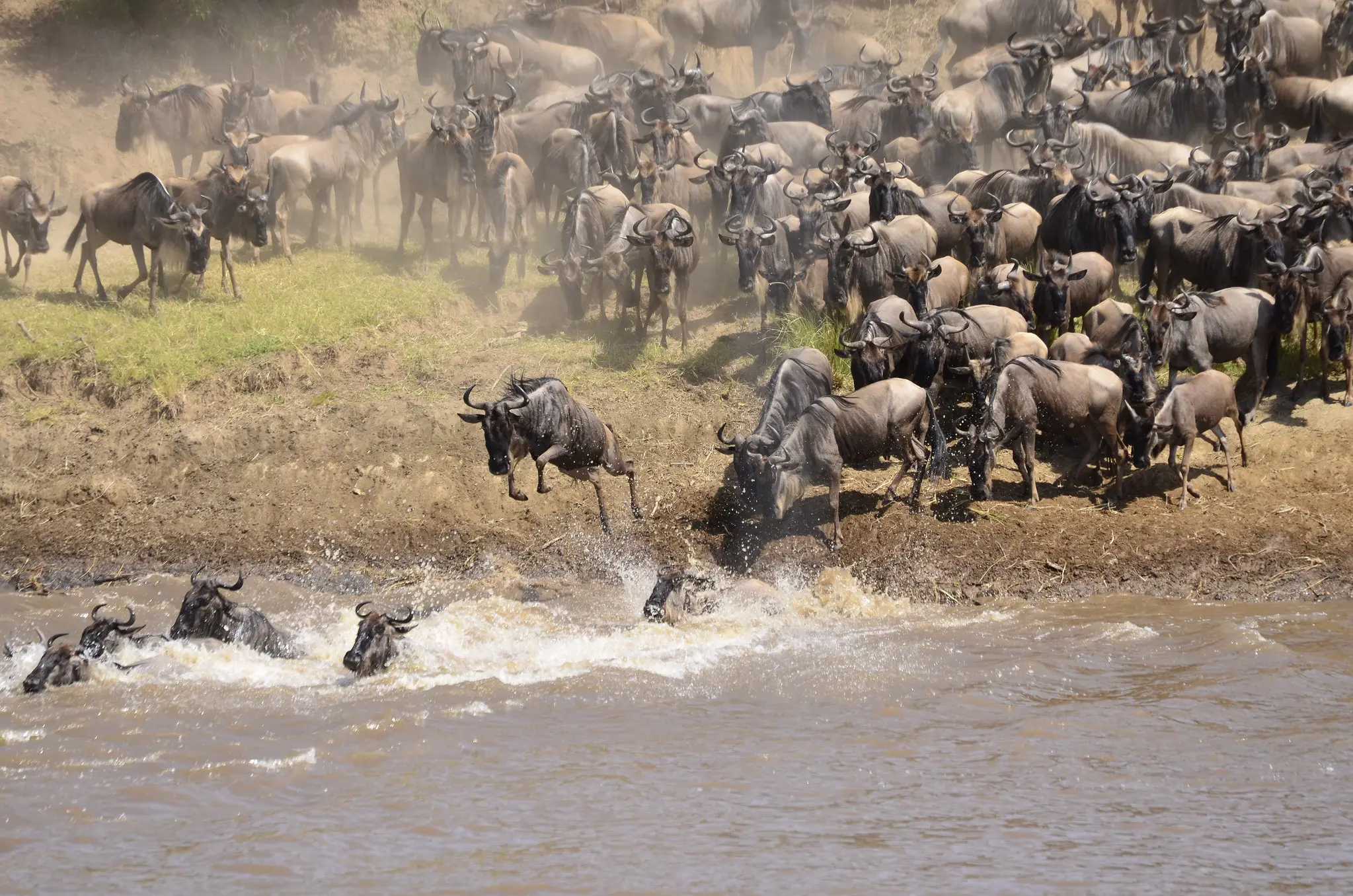 7 Days Serengeti Wildebeest Migration Safari