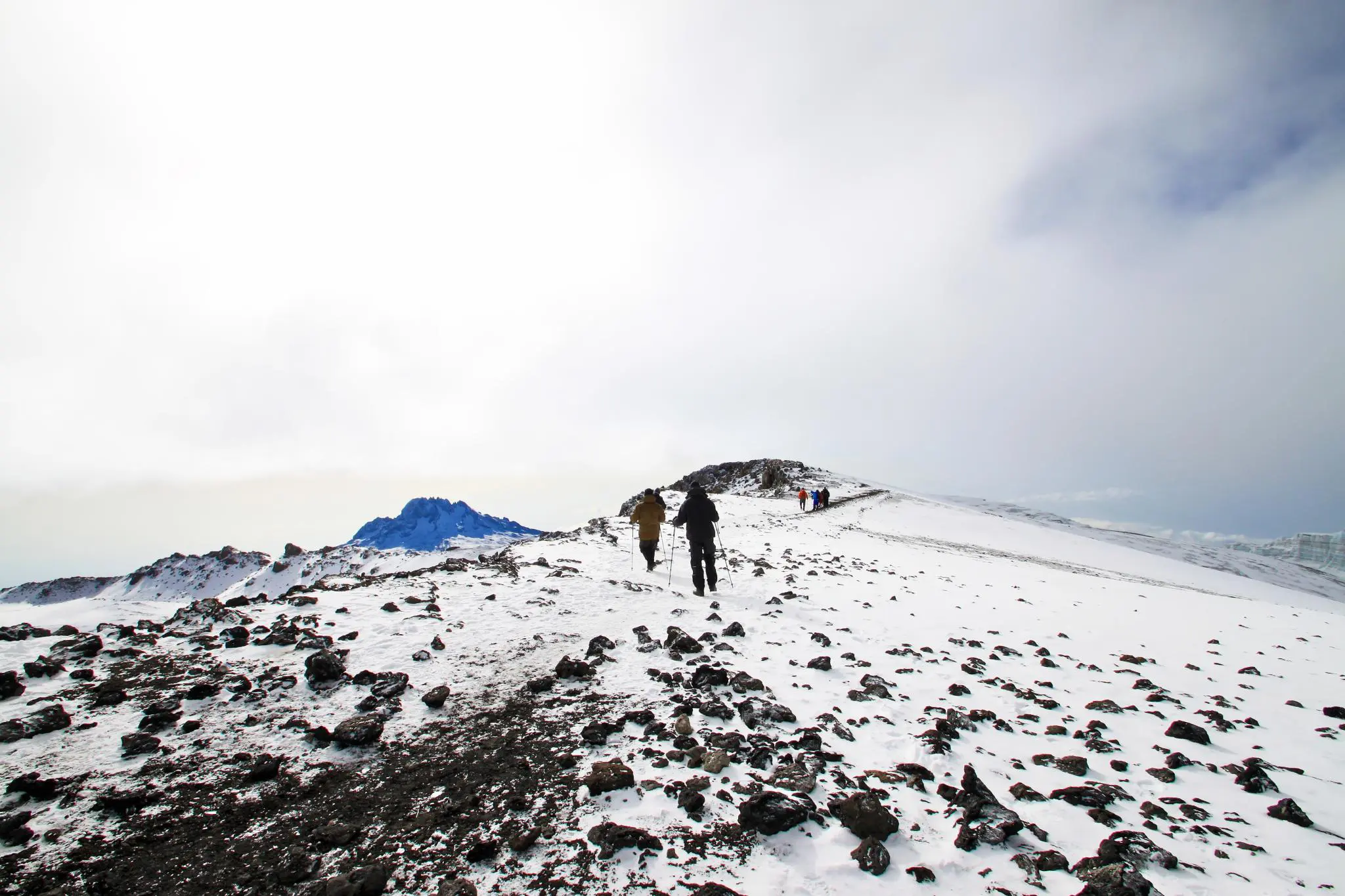 8-Day Kilimanjaro Hike Via Northern Circuit Route