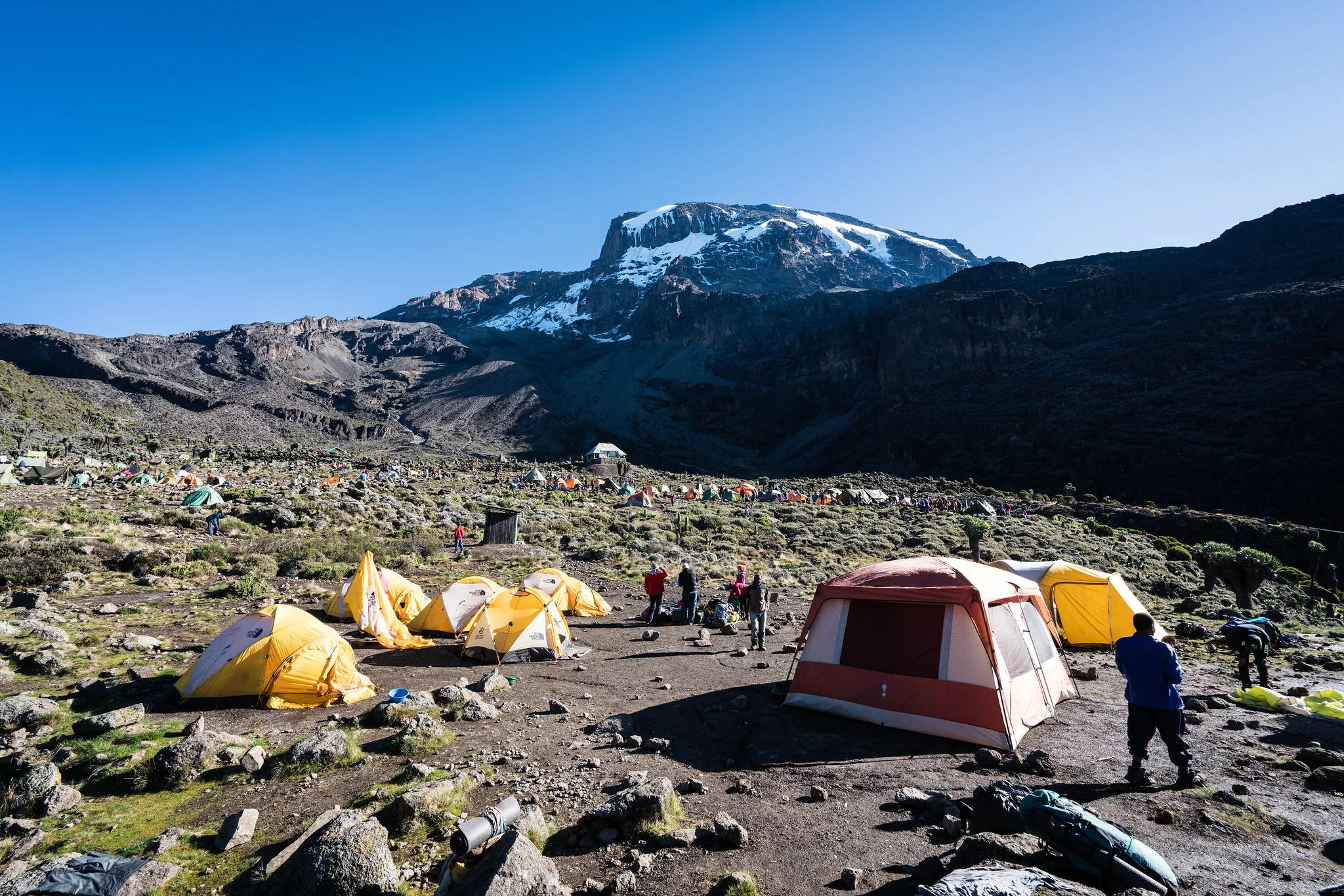 7-Day Kilimanjaro Hike Via Rongai Route