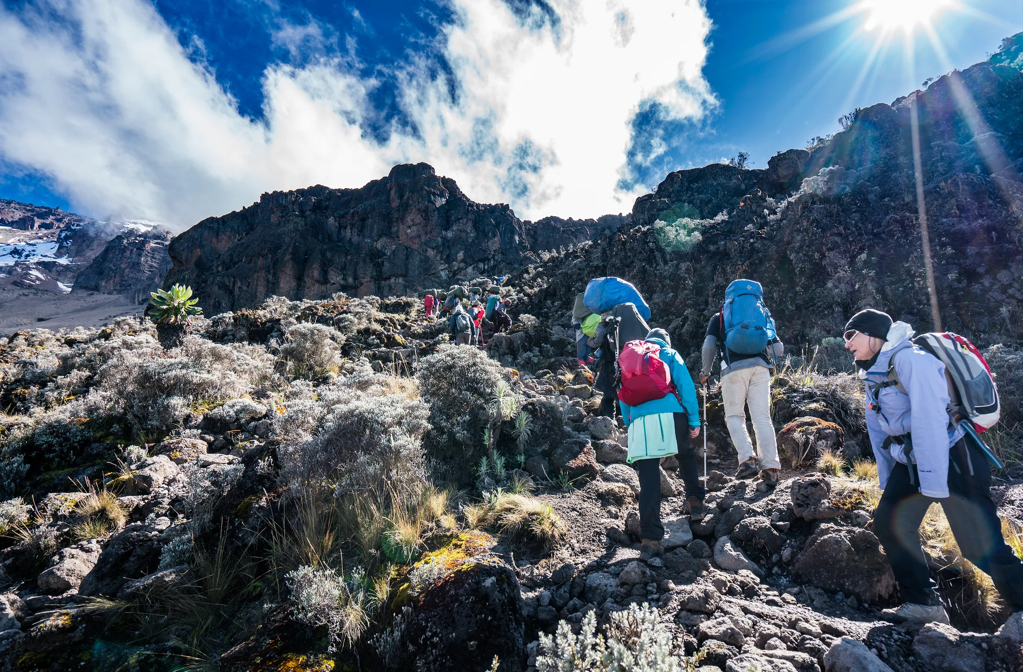 Kilimanjaro 5-Day of Luxury