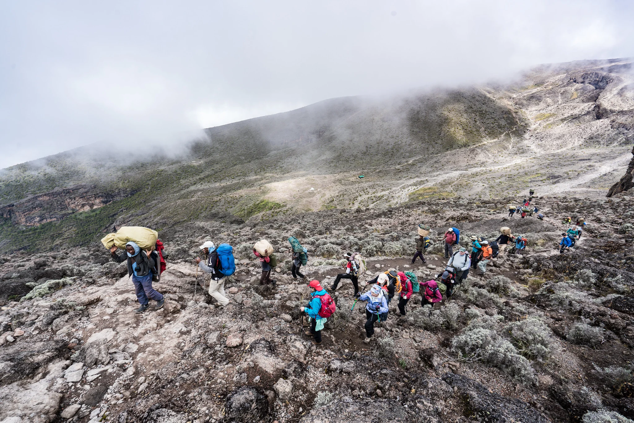 1-Day Kilimanjaro Hike Via Shira Plateau