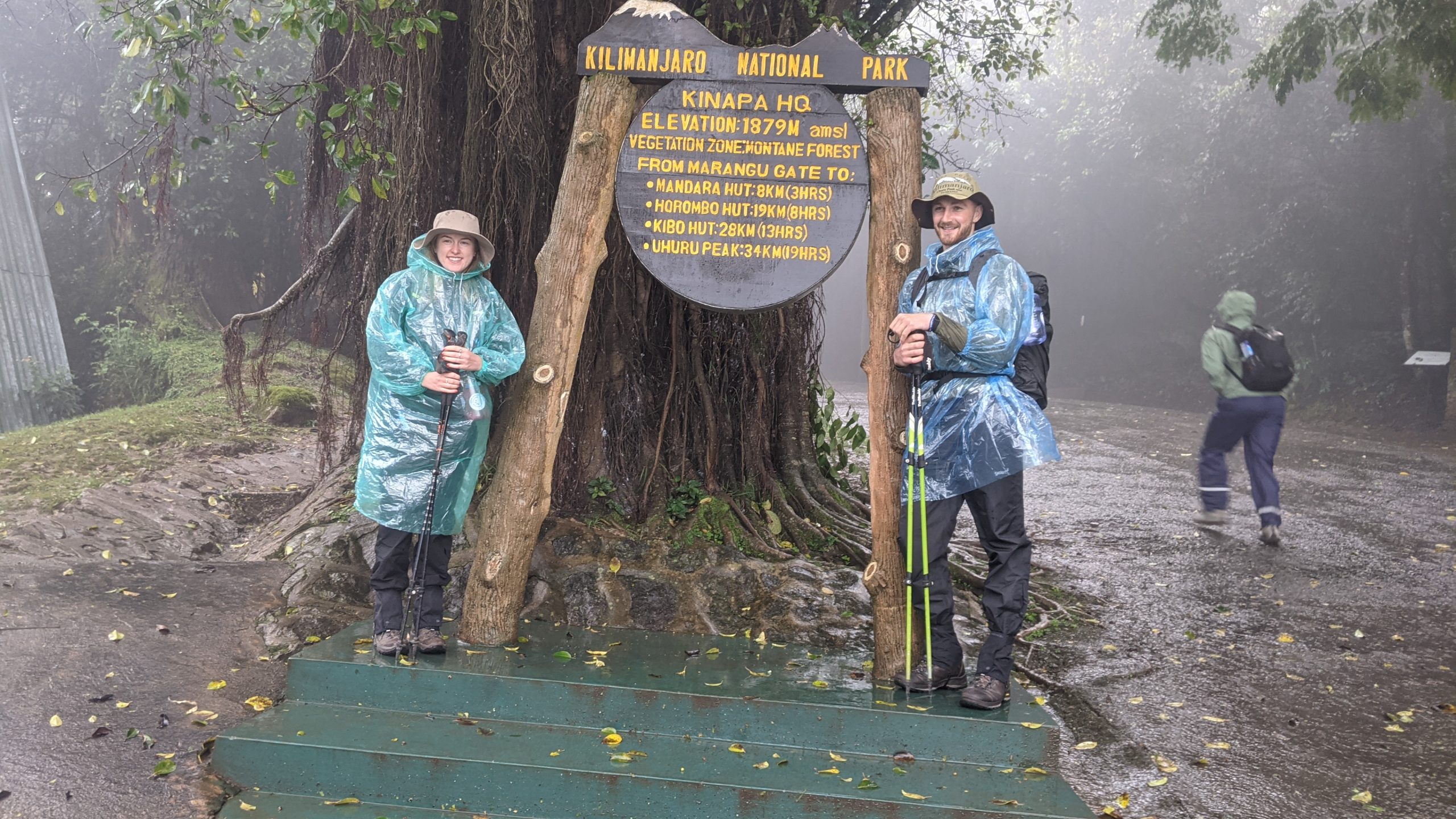 Kilimanjaro Day Hike – Experience Mount Kilimanjaro in One Day