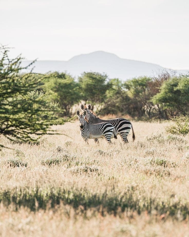 Best Tanzania Vacation Packages 2026–2027