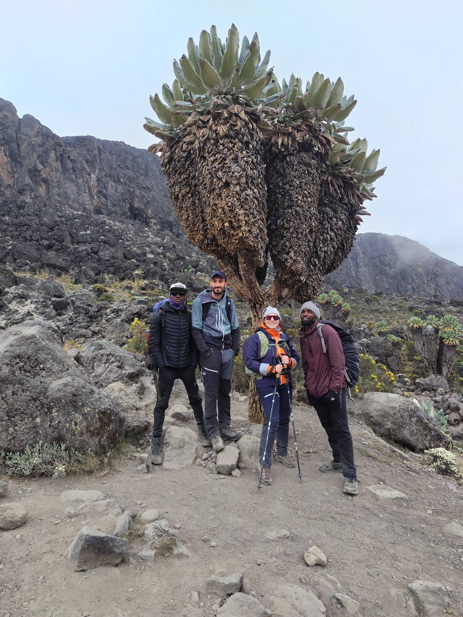 Is Kilimanjaro and Machu Picchu Adventure The Same: The Ultimate Two-Continent Trekking Experience