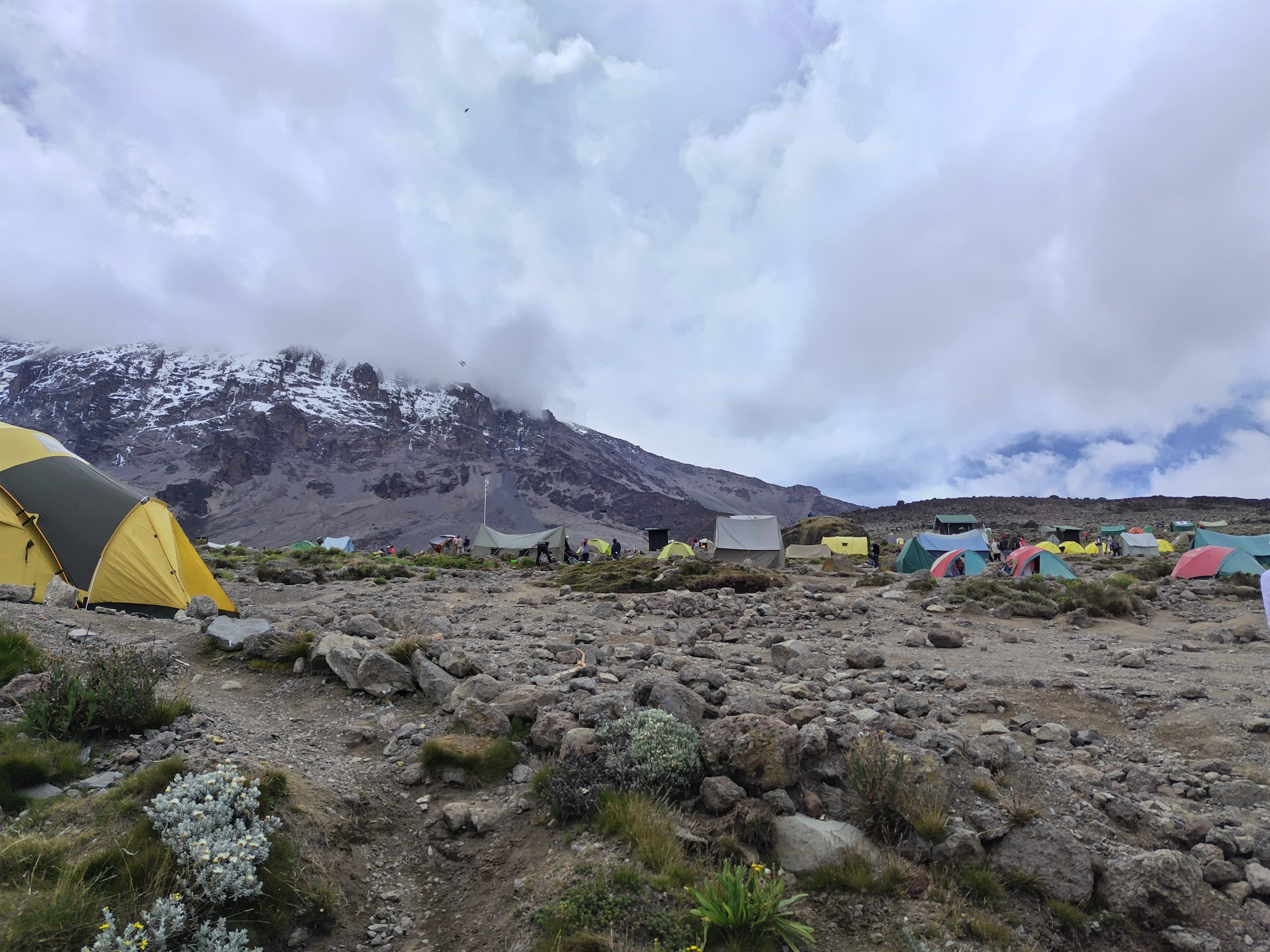 Kilimanjaro Christmas & New Year Climbing Tours 2026, 2027 & 2028 | Africa Sights Safaris