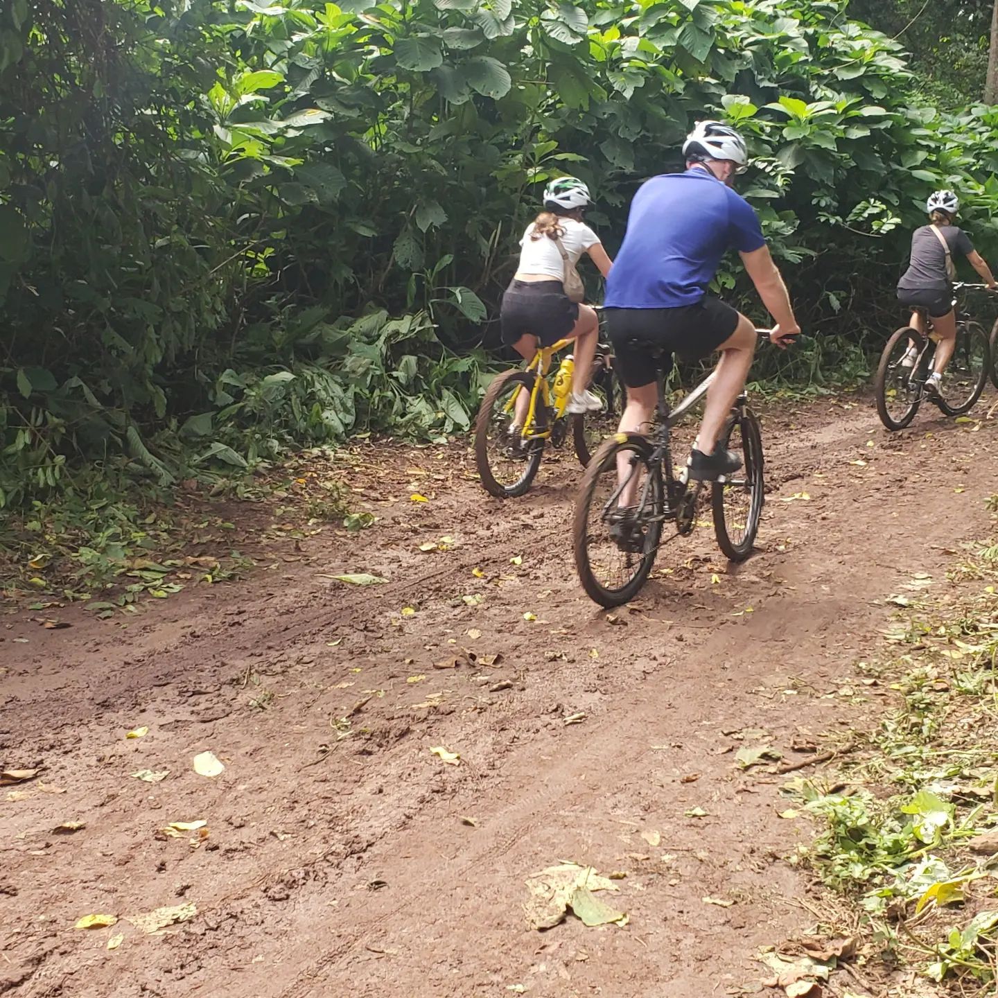 Kilimanjaro Cycling Trails Adventure (2026 / 2027 / 2028)