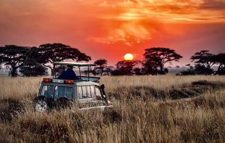 Most Popular Group & Sharing Safaris with Africa Sights Safaris