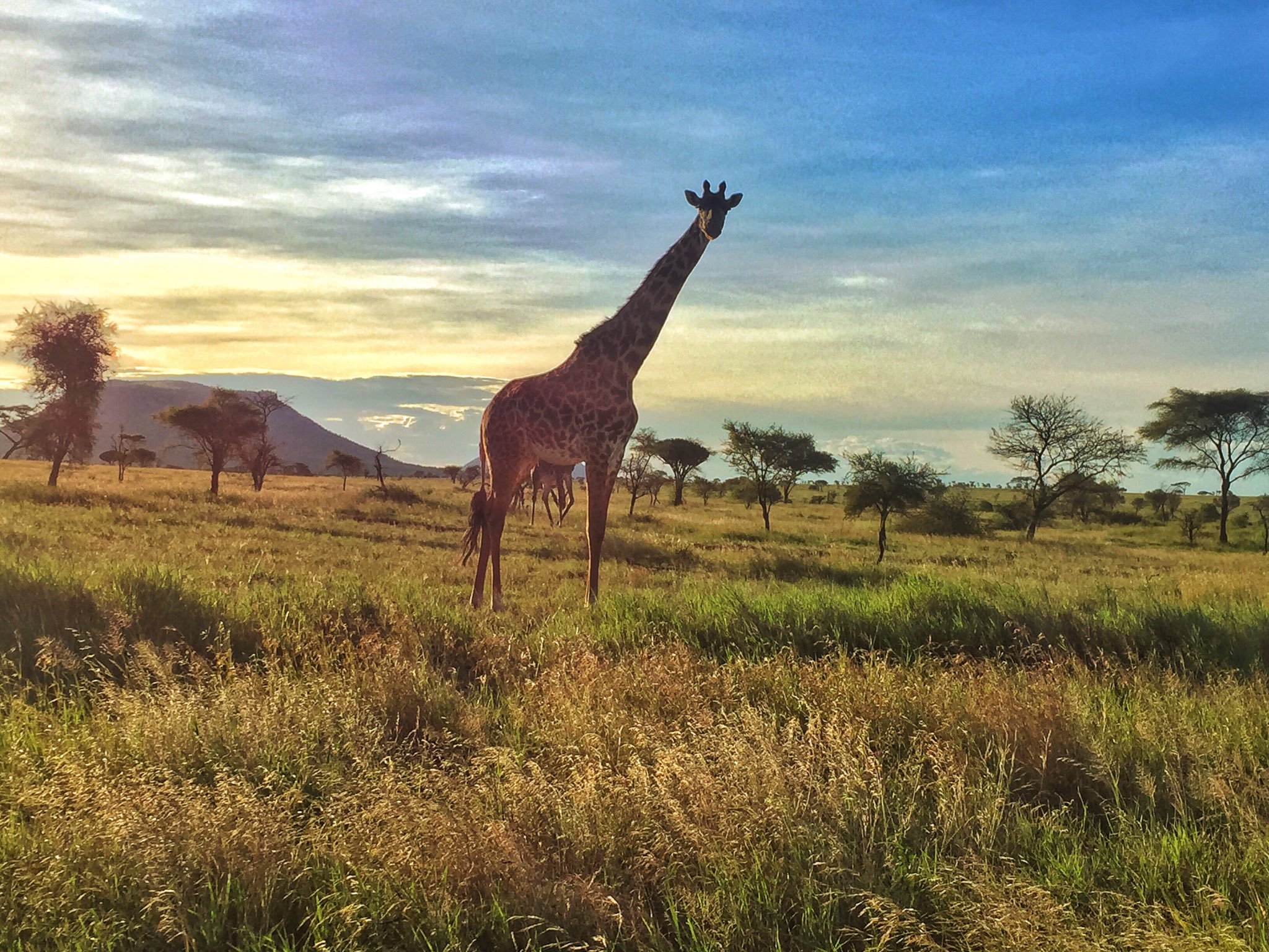 3-Day Maasai Mara National Reserve Safari | Africa Sight Safaris