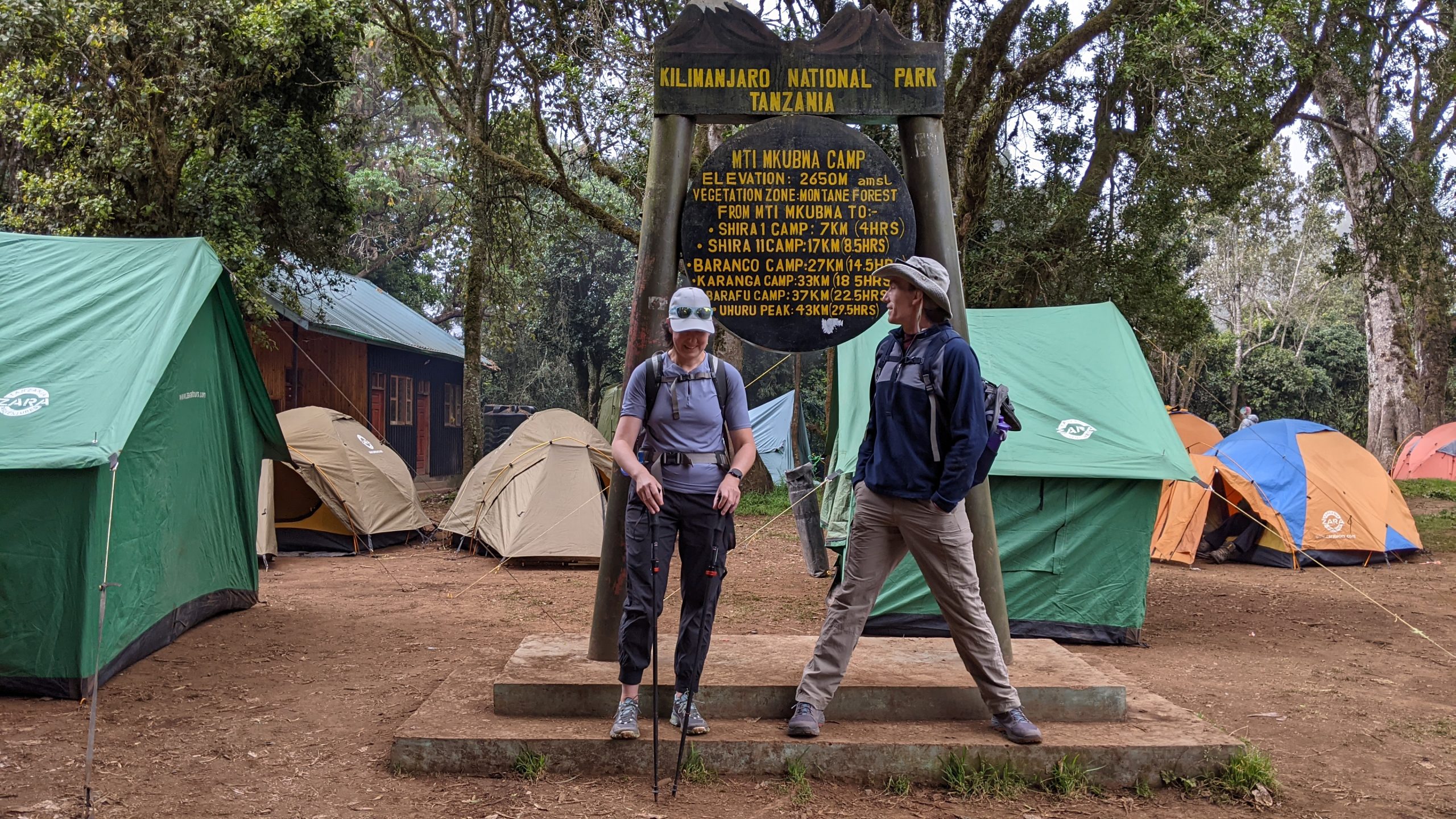 Affordable 8 Days Kilimanjaro Climbing Lemosho Route 2026/2027/2028