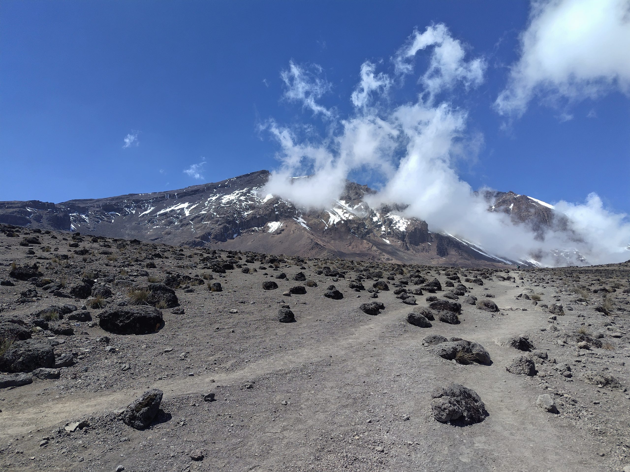 Best Safari Company in Tanzania – Africa Sights Safaris