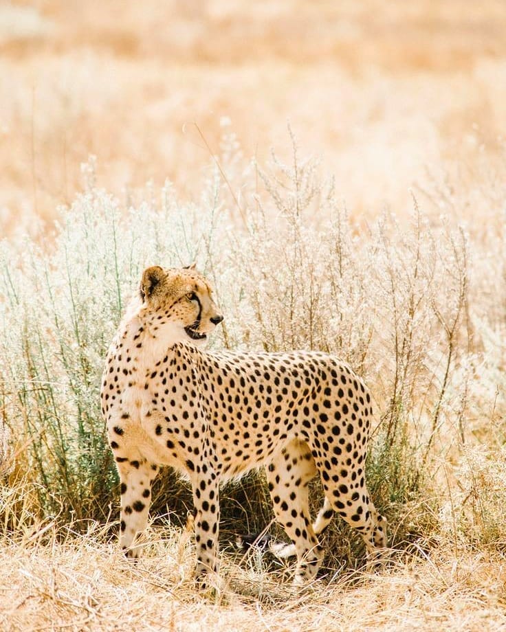 9-Days Rwanda Adventure — The Ultimate Travel Experience