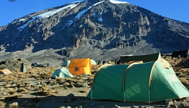 Best Kilimanjaro Climbing Tours Packages 2026, 2027, 2028
