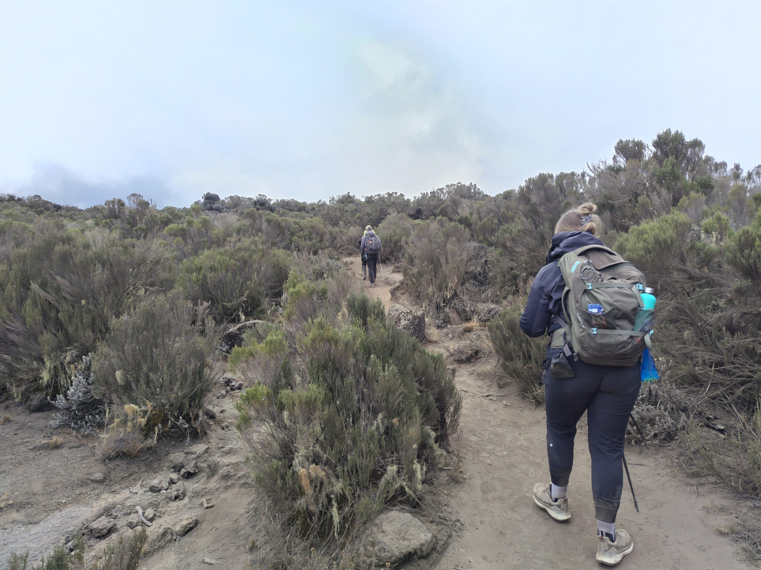 Lemosho Route Kilimanjaro – The Ultimate Scenic Climb Guide